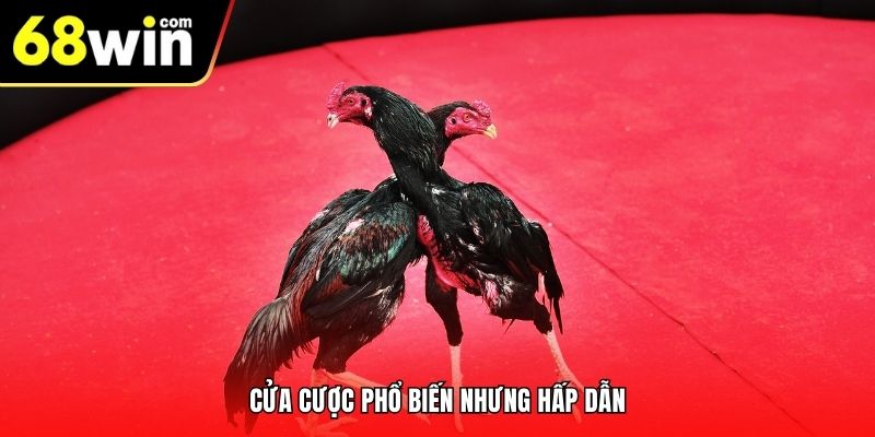 Cửa cược phổ biến nhưng hấp dẫn