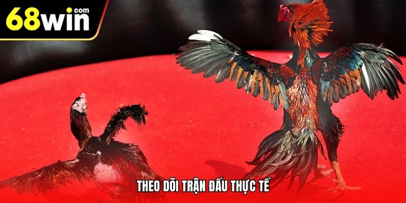 Theo dõi trận đấu thực tế